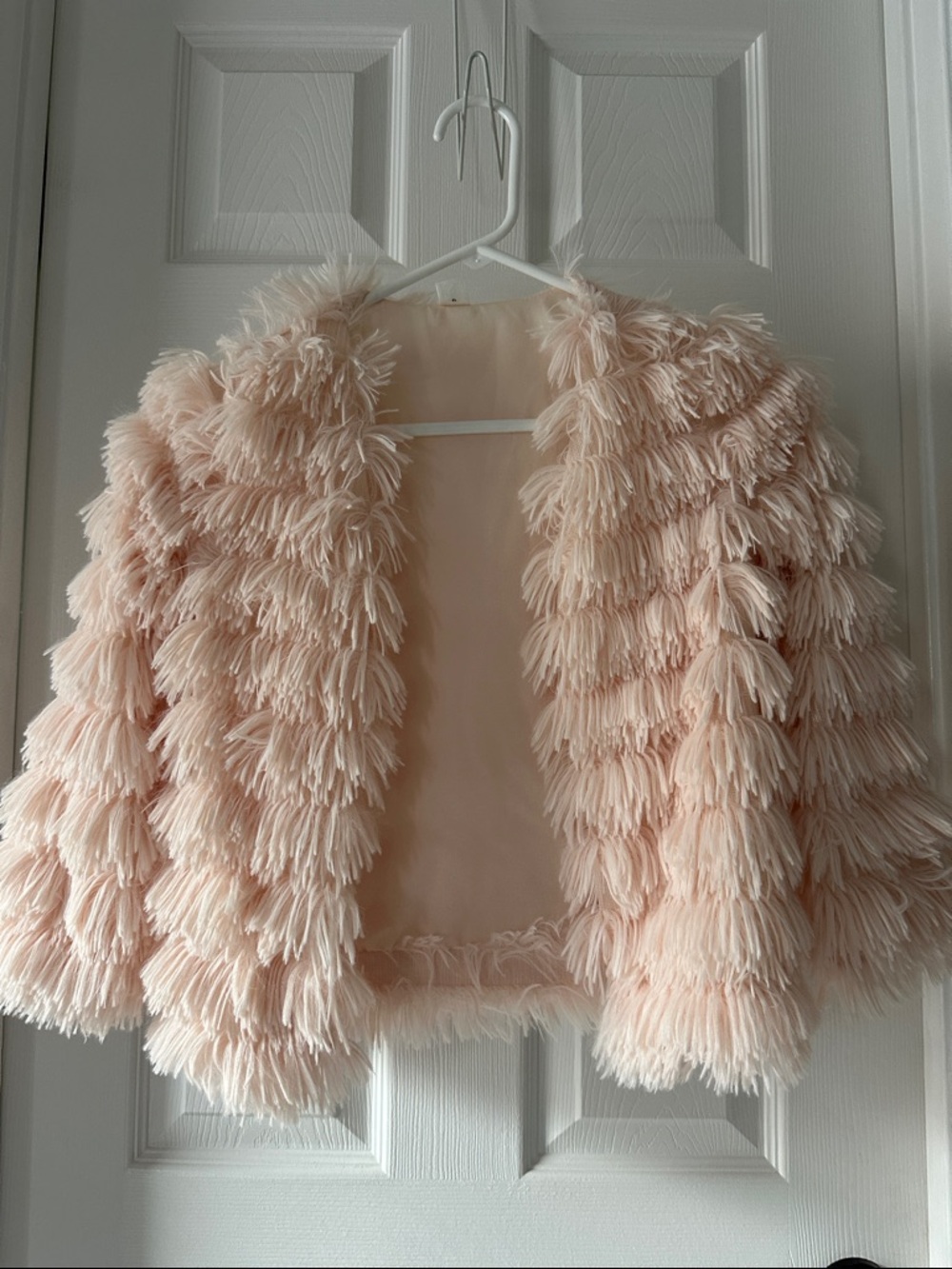Plush Blush Pink Faux-Fur Fringe Jacket